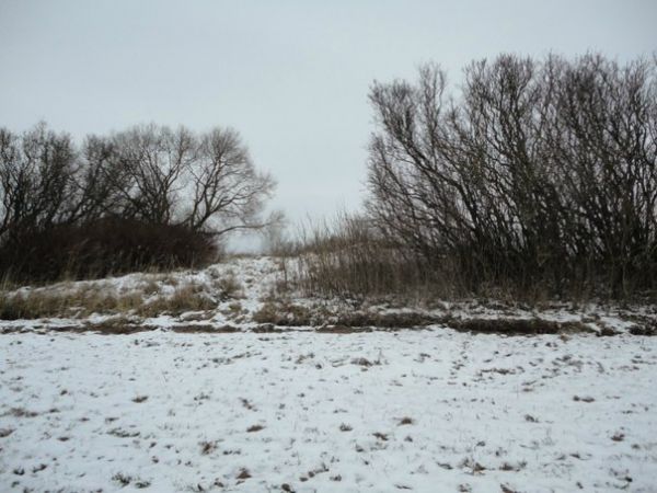  Waszkielewszczyzna, zaścianek (Przebrodzie rural commune). На хуторе Вашкеливщина жили до 1970 г. Переехали из-за того, что не было электричества, также отрезали землю. На снимке, что осталось от хутора в настоящее время, 2010 г.