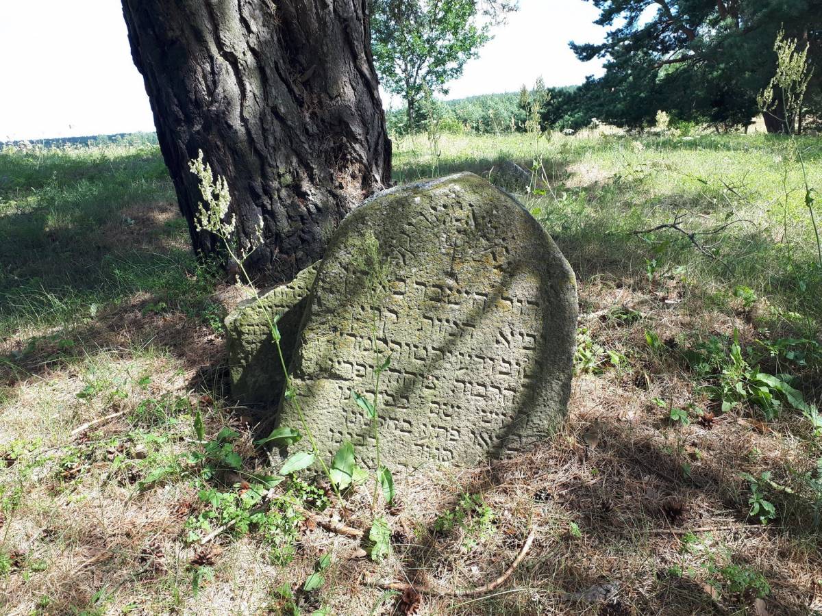  Dziewieniszki, miasteczko   (Dziewieniszki gmina wiejska  ). Żydowski cmentarz w Dziewieniszkach