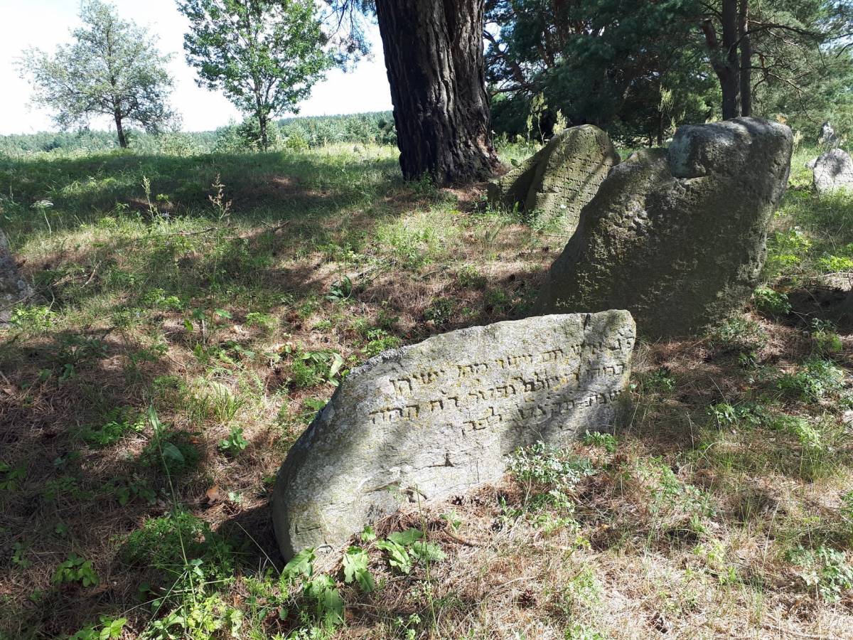  Dziewieniszki, miasteczko   (Dziewieniszki gmina wiejska  ). Żydowski cmentarz w Dziewieniszkach