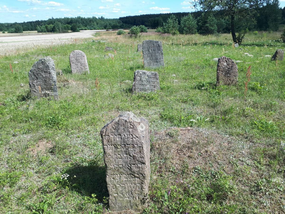  Dziewieniszki, miasteczko   (Dziewieniszki gmina wiejska  ). Żydowski cmentarz w Dziewieniszkach