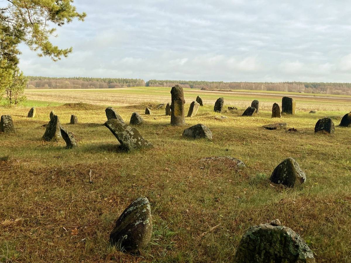  Dziewieniszki, miasteczko   (Dziewieniszki gmina wiejska  ).  Cmentarz Żydowski w Dziewieniszkach