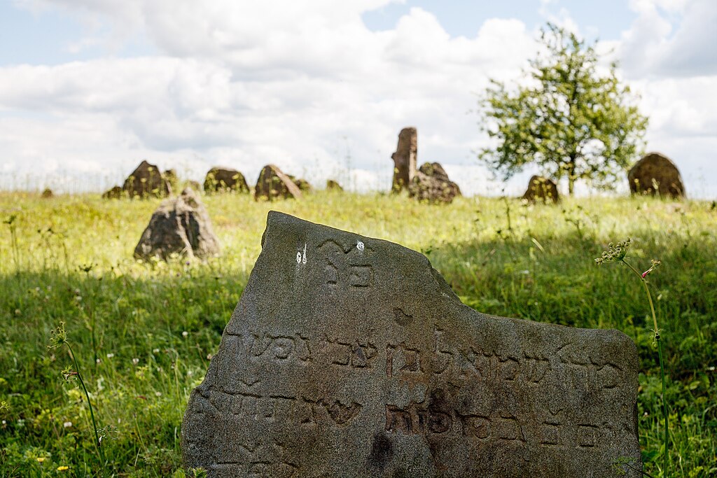  Dziewieniszki, miasteczko   (Dziewieniszki gmina wiejska  ).  Cmentarz Żydowski w Dziewieniszkach