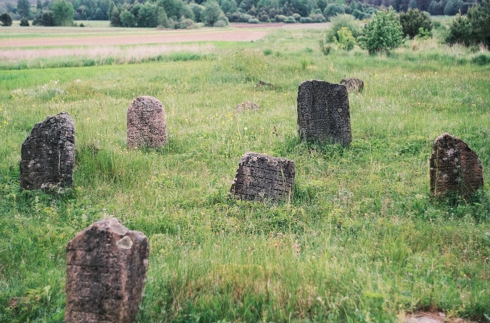  Dziewieniszki, miasteczko   (Dziewieniszki gmina wiejska  ). Cmentarz Żydowski w Dziewieniszkach.