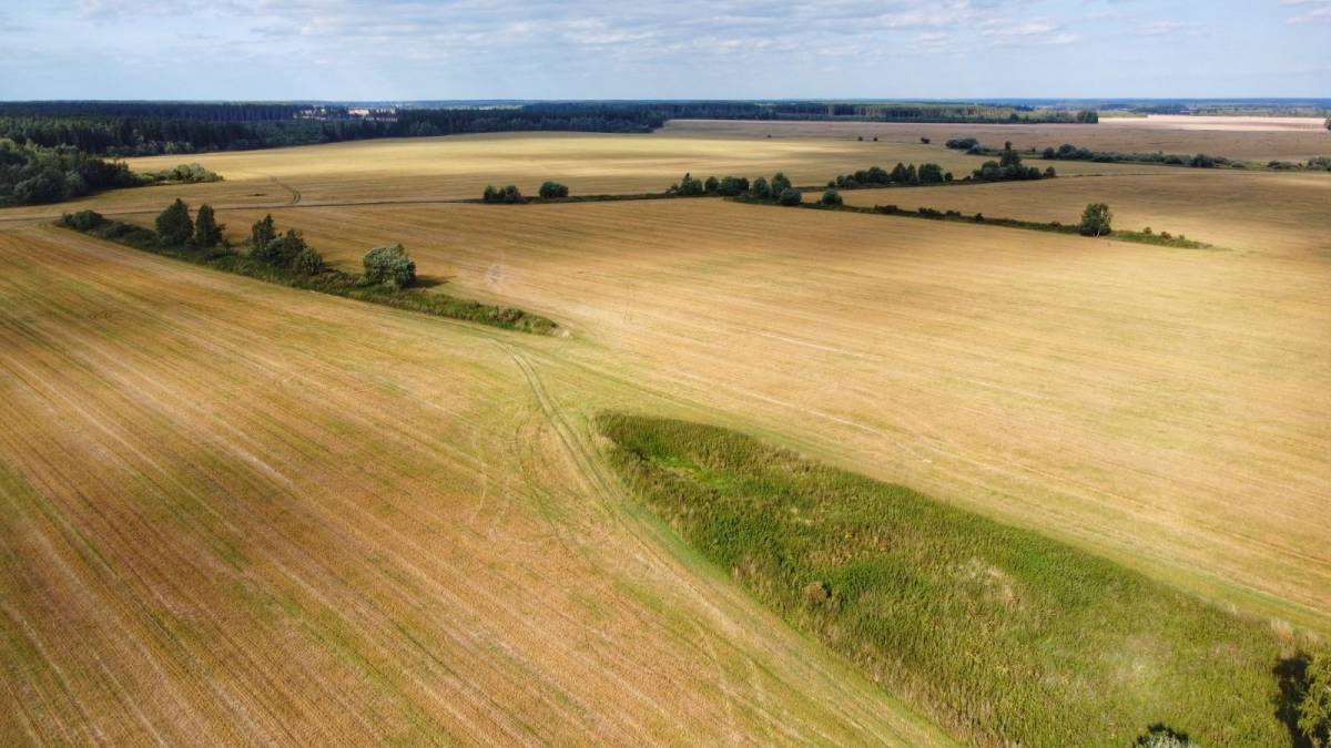 Zastruzhje, village (Staroselskaya volost). 