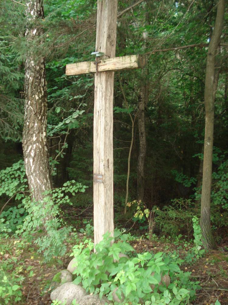  Burniszki, zaścianek (Graużyszki gmina wiejska  ). 