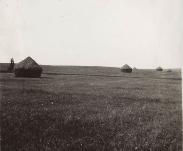  Jachimowszczyzna, agrotown (Pałačanski rural council). Jachimowszczyzna - kopy siana, 1934 r.