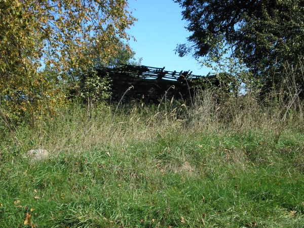  Гостинка, деревня (Соинская волость). 