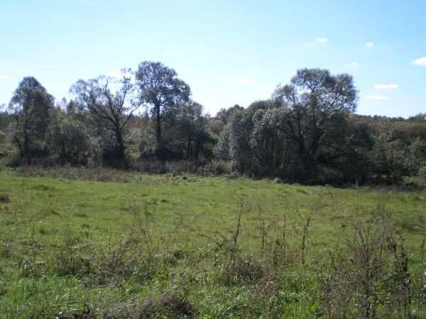  Гостинка, деревня (Соинская волость). 