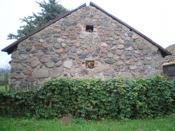  Караневичи, деревня (Коптевский сельсовет). 