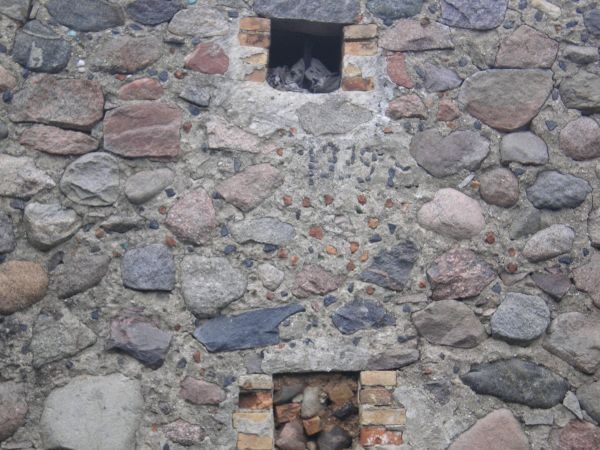  Караневичи, деревня (Коптевский сельсовет). 