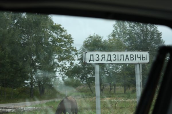  Dzedilovichi, village (Mscižski rural council). Дзядзiлавiчы 19 авг. 2012