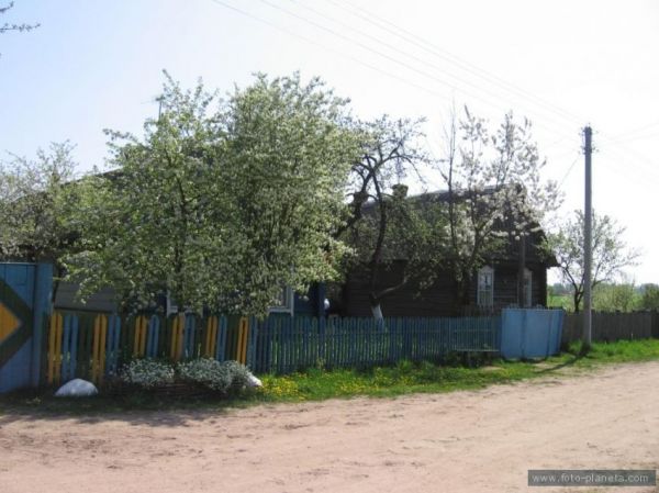  Otochnaya, village (Klinocki rural council). Аточная  Слабада. Вуліца  Цэнтральная.