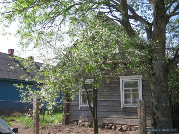  Otochnaya, village (Klinocki rural council). Мая Хата (Аточная Слабада)