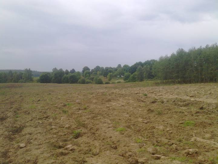  Wielkie Kolenkowo, wieś   (Byczycha sielsowiet  ). вид на деревню с северной стороны (от Кузьмы). Ранее (до революции) на этом месте жил Кузьма Пухальский.