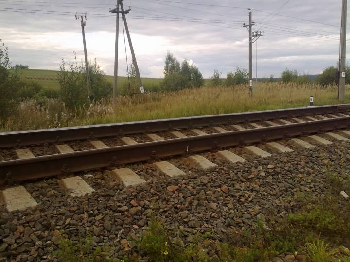  Shakurovo (Poluyanovskoe), village (Beskatovskaya volost). Вид со стороны железной дороги на место где была деревня Шакурово. Это 509 км около станции Бычиха. Здесь проходила дорога из деревни Цавино в деревню Шакурово