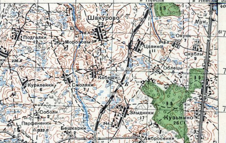  Цавино, деревня (Бескатовская волость). 