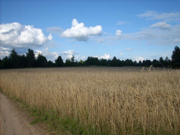  Putilkovichi, village (Vialikadolecki rural council). 