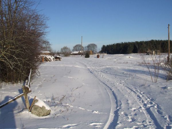  Pocewicze, village (Solyskiy rural council). 