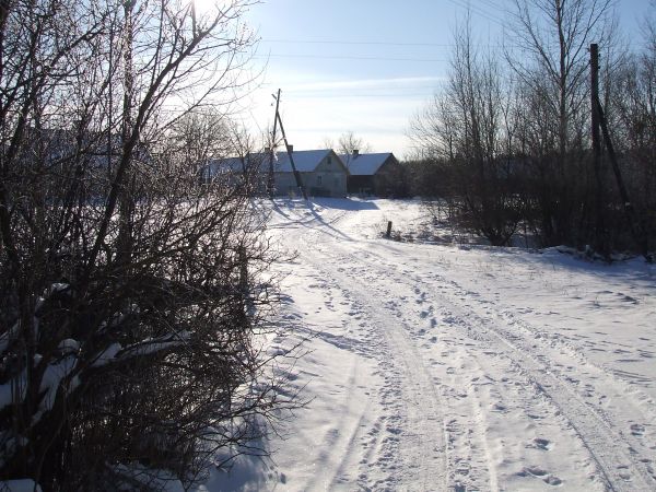  Pocewicze, village (Solyskiy rural council). 