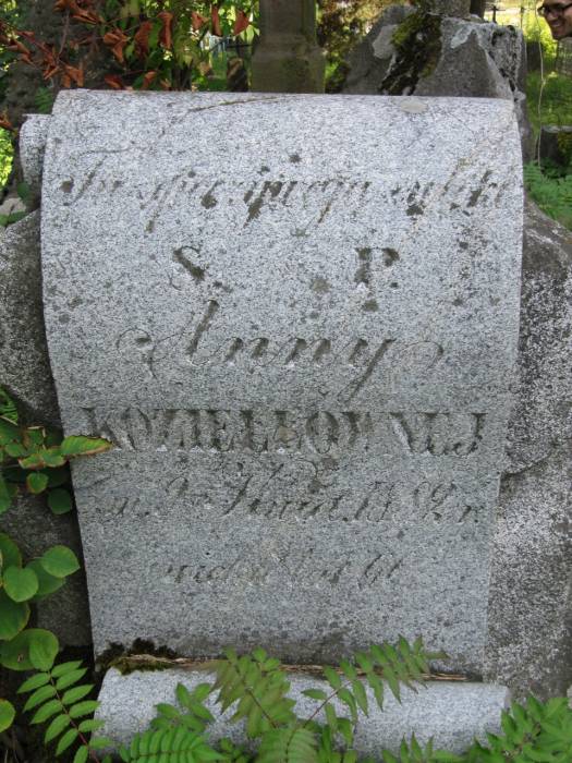  Krzywicze, folwark   (Krzywicze gmina wiejska  ). Анна Козелло 1882г.