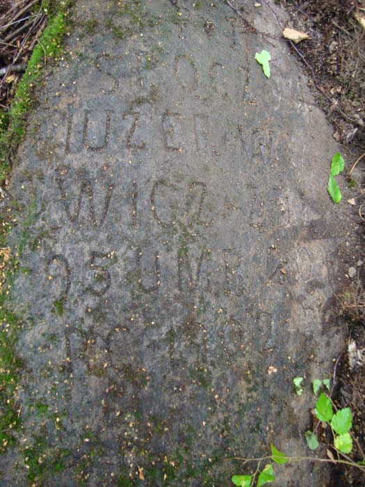  Городец, деревня (Околовский сельсовет). Старое католическое кладбище в Городце<br>Jozef Wankiewicz (+1902)