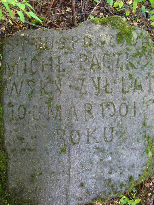  Городец, деревня (Околовский сельсовет). Старое католическое кладбище в Городце<br>Michał Paczkowsky (1831-1901)