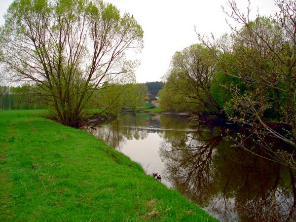  Berezovka, folwark (Belynichskaya volost). 