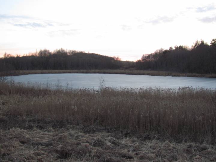  Linkowszczyzna, village (Ciacierkaŭski rural council). Jeziorko nad którym położona była Linkowszczyzna. Z prawej strony z drugiej strony brzegu znajdował się majątek Listowatka / nie jestem autorem tego zdjęcia
