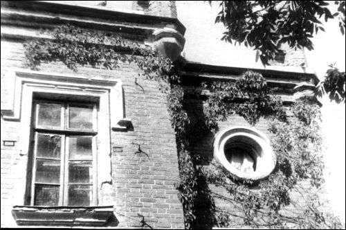  Залесье, деревня (Озерецкий сельсовет). Fragment fasady pałacu Mohlów w Zalesiu (fot. botanika-dendrologa W. A. Łamaka) 