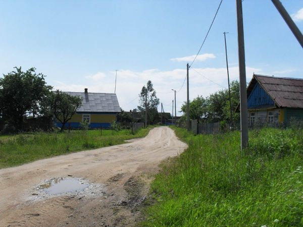  Лявонавічы, вёска (Шацкі сельсавет). В деревне. 