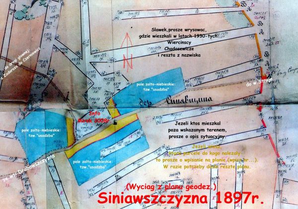  Siniawszczyzna, wieś   (Plisa gmina wiejska  ). plan wioski Si(e)niawszczyzny<br>z roku 1897.<br>Wioska należała do maj.Mniuta 2.<br>W latach 1930 wielkość wioski<br>pozostawała bez znacznych zmian<br>(pomijając parcelację!)