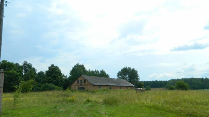 Borcie, khutor (Peregantsevskiy rural council). 
