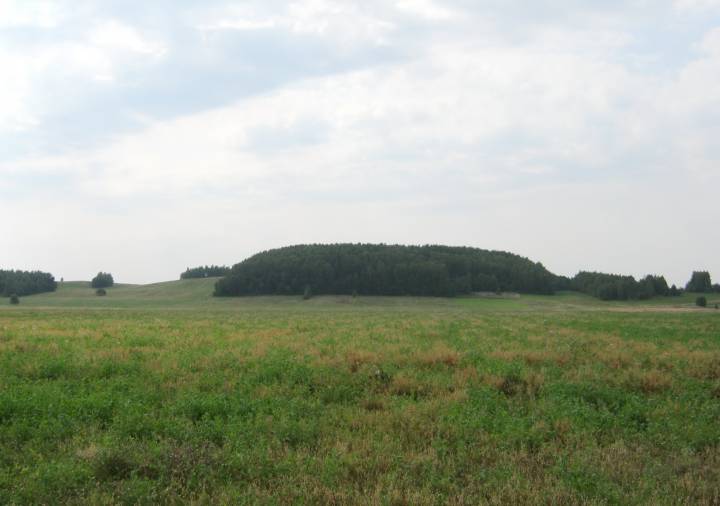  Dobriniewo, wieś   (Hajnienski sielsowiet  ). Ад Дабрэнева бачна Плоская Гара, дзе быў старажытны Лагожск...