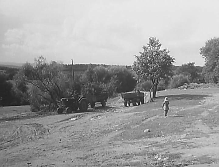  Dobriniewo, wieś   (Hajnienski sielsowiet  ). Без трактароў не абыйсціся...