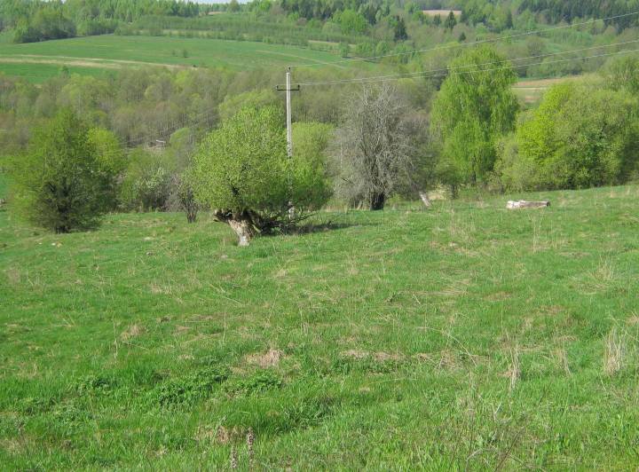  Гаенская Юрздыка, сяло (Гайна-Слабодская воласць). Погляд на былыя могілкі ад руін касцёла.