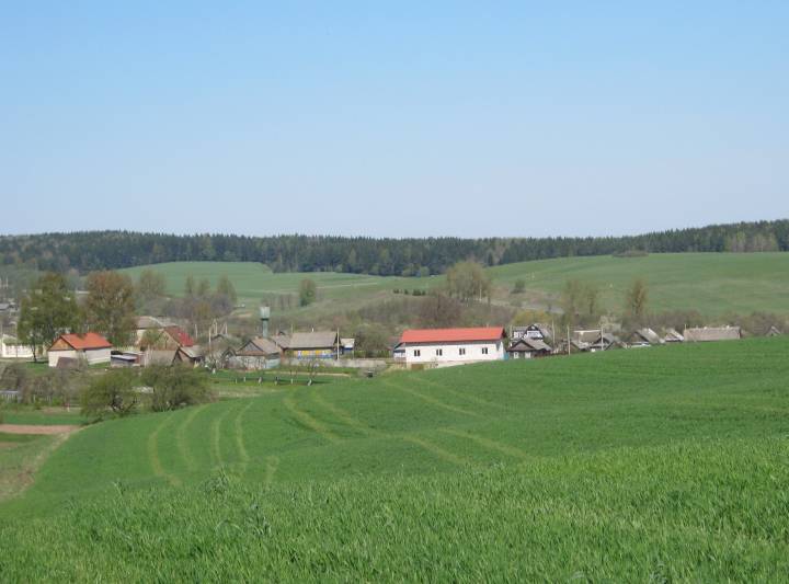  Hajna, agromiasteczko   (Hajnienski sielsowiet  ). Сяло Гайна...