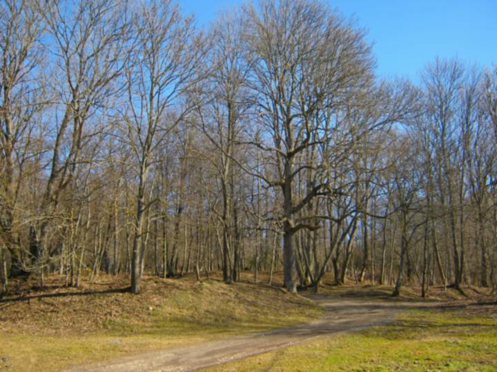  Gorodyshche, village (Hajnienski rural council). Калісці тут быў прыгожы парк.
