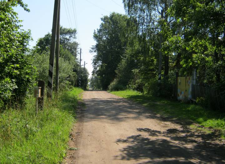 Krasnyy Bor, village (Gayno-Slobodskaya volost). Вясковая вуліца...