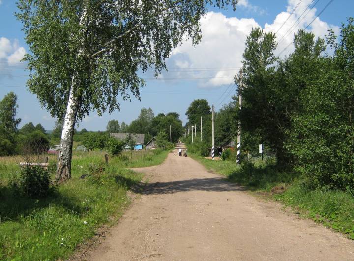  Krasnyy Bor, village (Gayno-Slobodskaya volost). Вясковая вуліца...