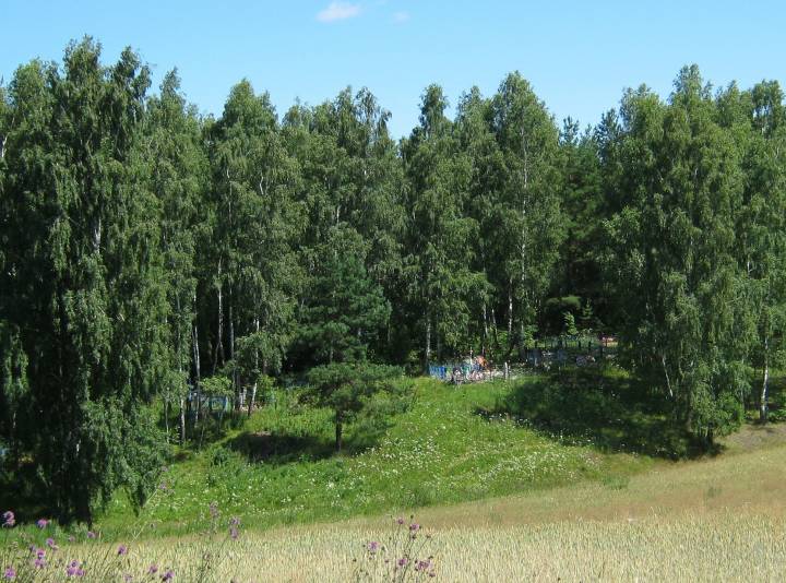  Понизовье, деревня (Логойский сельсовет). Могілкі вёскі Панізоўя...