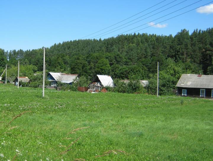  Понизовье, деревня (Логойский сельсовет). Вуліца знаходзіцца на беразе ракі...