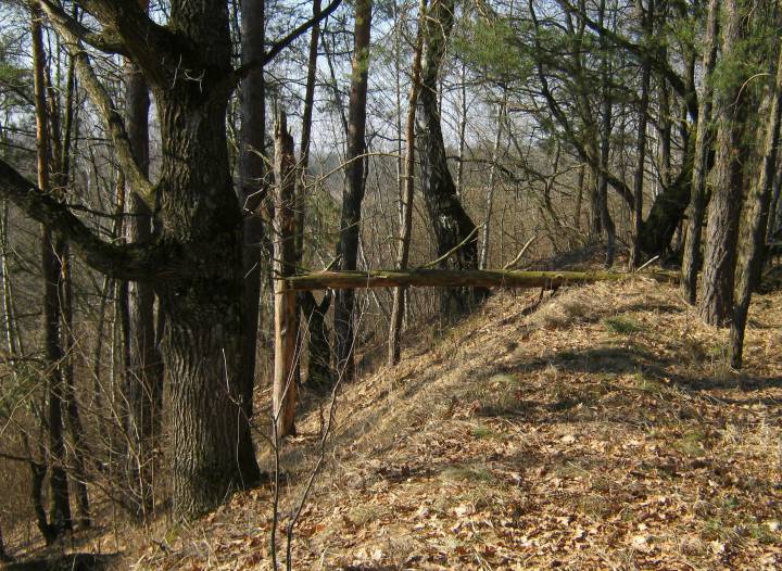  Понизовье, деревня (Логойский сельсовет). Крутыя схілы гарадзішча...