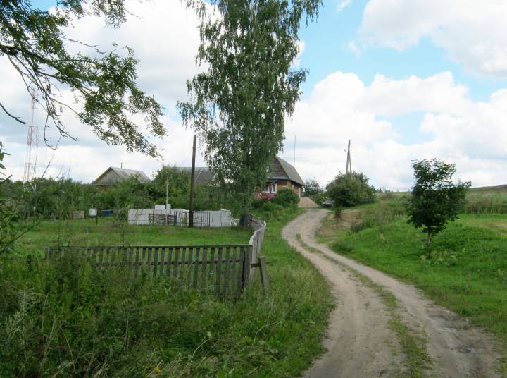  Radzkovichi, village (Januškavicki selsovet). 