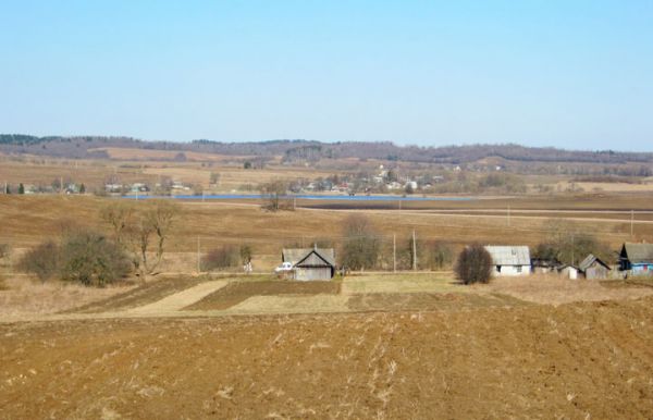  Родзевічы, вёска (Гайненскі сельсавет). Родзевічы, а далей бачны Звярынічы...