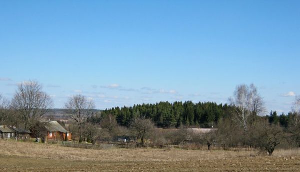  Родзевічы, вёска (Гайненскі сельсавет). Родзевічы, а ў далёкім мінулым -- Родзевічы Баранісына...