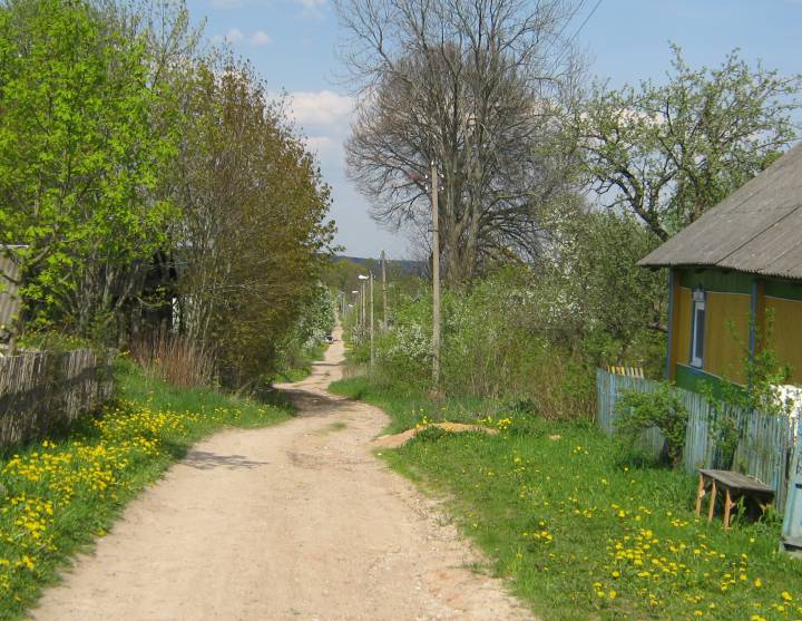  Родзевічы, вёска (Гайненскі сельсавет). Вузкая вуліца старога сяла Родзевічы...