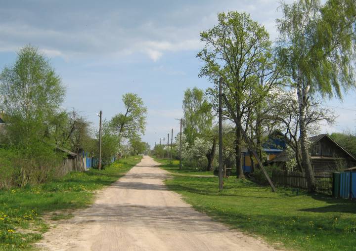  Rodziewicze, wieś   (Hajnienski sielsowiet  ). У пачатку вуліцы Нагорная вёскі Родзевічы...