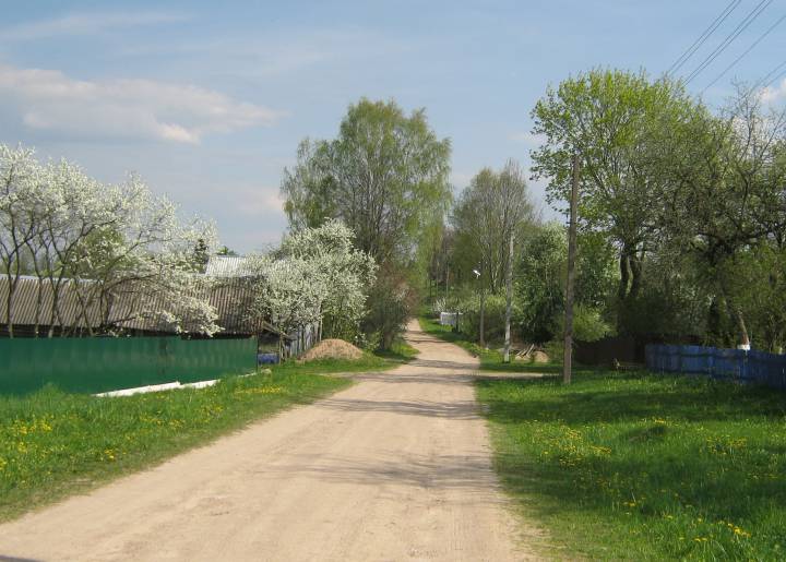  Родевичи, деревня (Гайненский сельсовет). Сярэдзіна вуліцы Нагорная, а вуліца шырокая...
