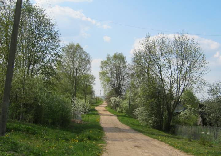  Rodzevichi, village (Hajnienski rural council). Погляд на сярэдзіну вуліцы Нагорная ад таго месца, дзе калісьці была кузня...