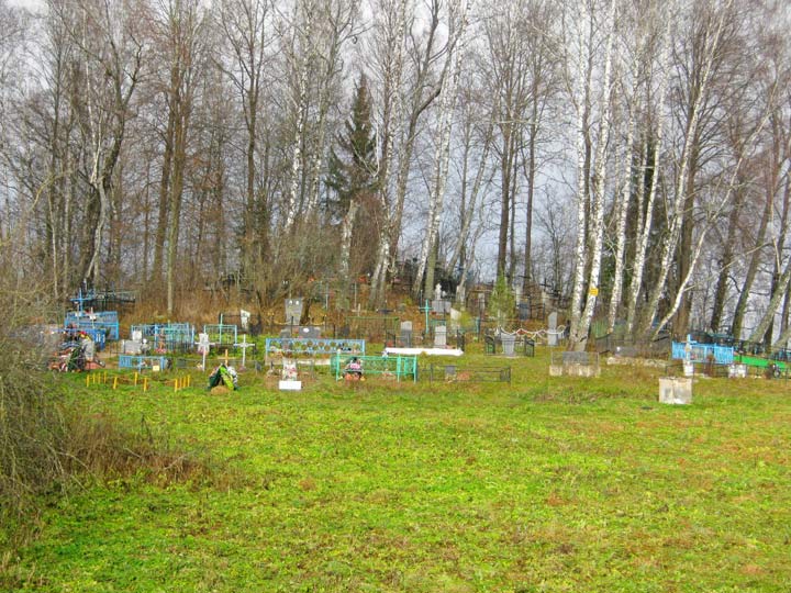  Саўдзеневічы, вёска (Янушкавіцкі сельсавет). Вясковыя могілкі<br>Фота 13/11/2012